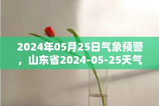 2024年05月25日气象预警，山东省2024-05-25天气多地降雨最高温33度