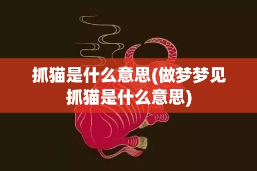 抓猫是什么意思(做梦梦见抓猫是什么意思)