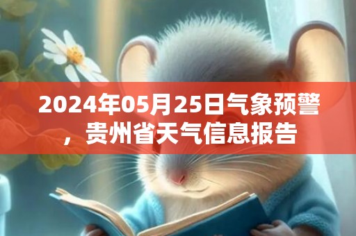 2024年05月25日气象预警，贵州省天气信息报告