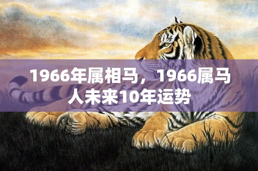 1966年属相马，1966属马人未来10年运势