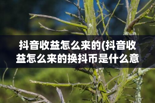 抖音收益怎么来的(抖音收益怎么来的换抖币是什么意思)
