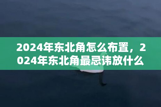 2024年东北角怎么布置，2024年东北角最忌讳放什么