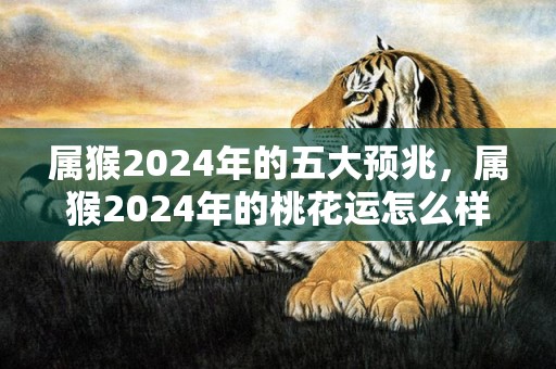 属猴2024年的五大预兆，属猴2024年的桃花运怎么样