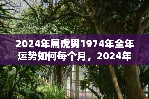 2024年属虎男1974年全年运势如何每个月，2024年属虎男人的全年运势详解