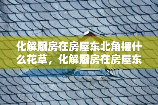 化解厨房在房屋东北角摆什么花草，化解厨房在房屋东北角的办法