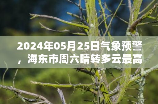 2024年05月25日气象预警，海东市周六晴转多云最高气温28℃
