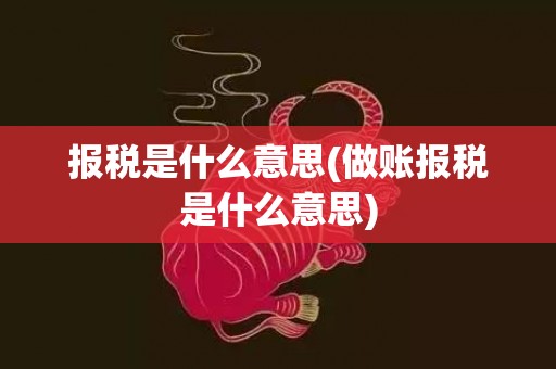 报税是什么意思(做账报税是什么意思)