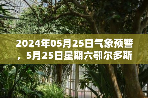 2024年05月25日气象预警，5月25日星期六鄂尔多斯天气预报 大部晴