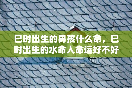 巳时出生的男孩什么命，巳时出生的水命人命运好不好