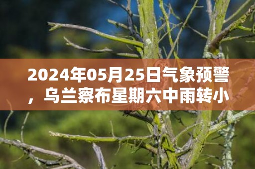2024年05月25日气象预警，乌兰察布星期六中雨转小雨最高温度24℃