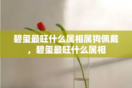 碧玺最旺什么属相属狗佩戴，碧玺最旺什么属相
