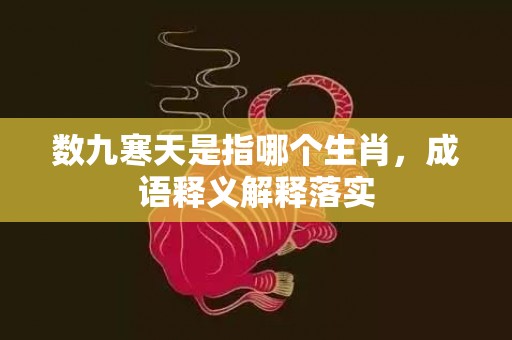 数九寒天是指哪个生肖，成语释义解释落实