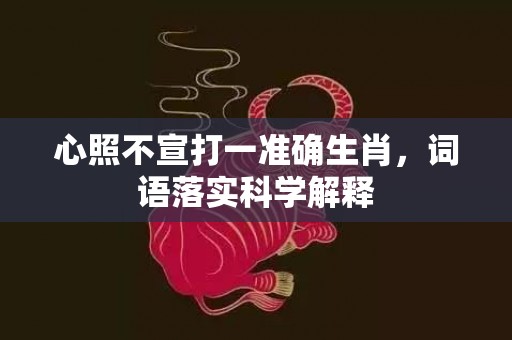 心照不宣打一准确生肖，词语落实科学解释