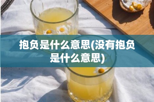 抱负是什么意思(没有抱负是什么意思)