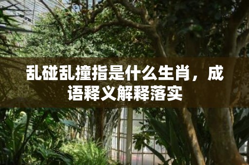 乱碰乱撞指是什么生肖，成语释义解释落实