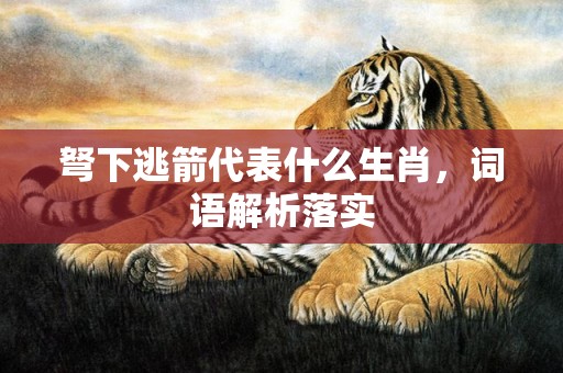 弩下逃箭代表什么生肖，词语解析落实