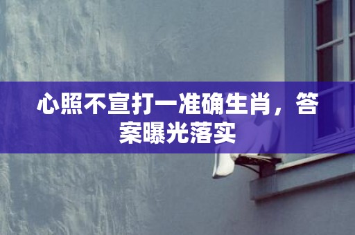 心照不宣打一准确生肖，答案曝光落实