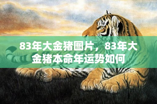 83年大金猪图片，83年大金猪本命年运势如何