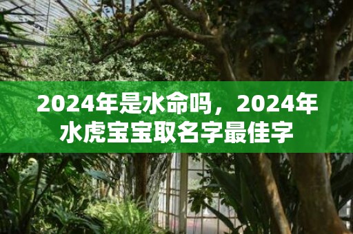 2024年是水命吗，2024年水虎宝宝取名字最佳字