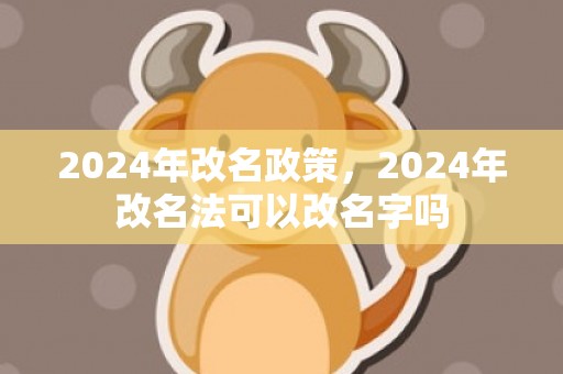 2024年改名政策，2024年改名法可以改名字吗
