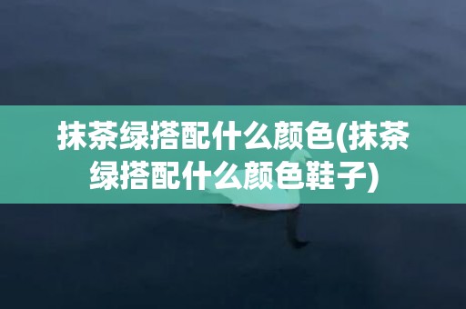 抹茶绿搭配什么颜色(抹茶绿搭配什么颜色鞋子)