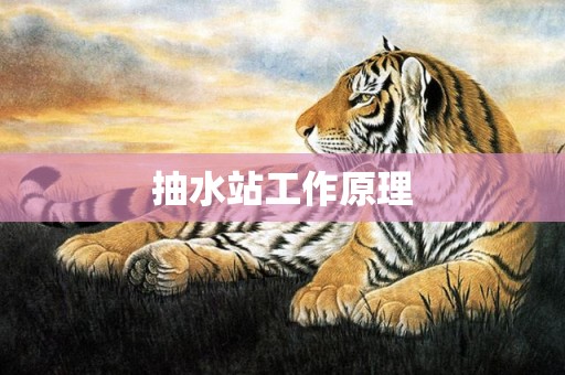 抽水站工作原理