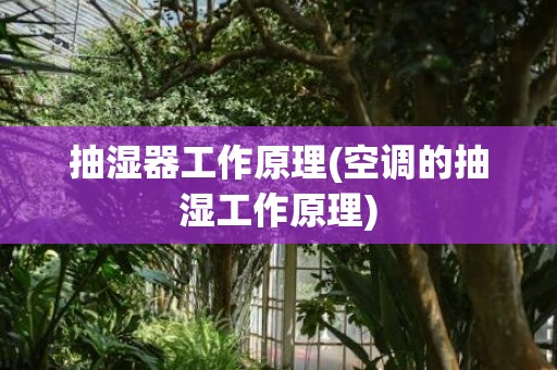 抽湿器工作原理(空调的抽湿工作原理)