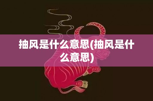 抽风是什么意思(抽风是什么意思)