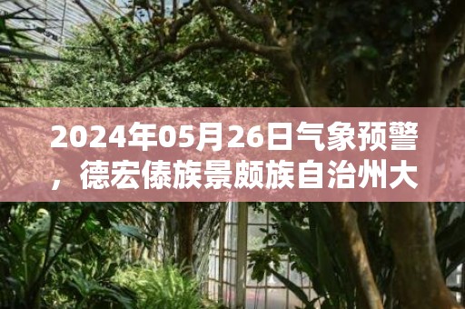2024年05月26日气象预警，德宏傣族景颇族自治州大雨转中雨最高温度25℃