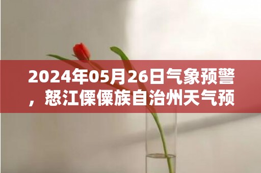 2024年05月26日气象预警，怒江傈僳族自治州天气预报 大部中雨转大雨