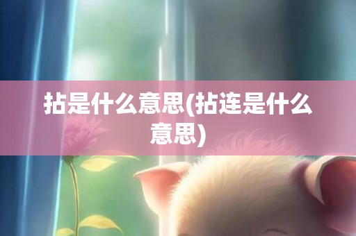 拈是什么意思(拈连是什么意思)