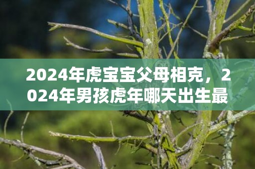 2024年虎宝宝父母相克，2024年男孩虎年哪天出生最好