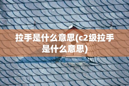 拉手是什么意思(c2级拉手是什么意思)