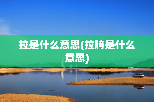 拉是什么意思(拉胯是什么意思)