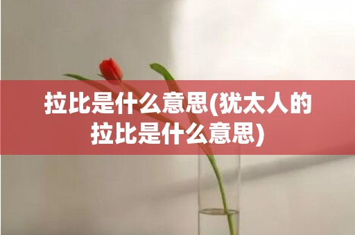 拉比是什么意思(犹太人的拉比是什么意思)