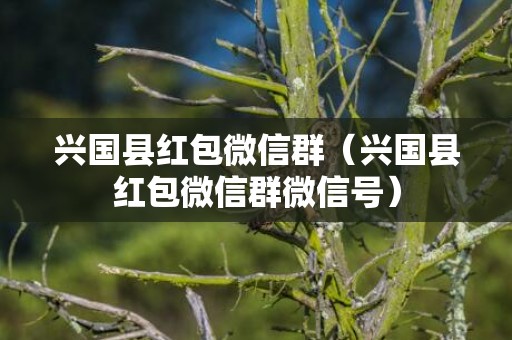 兴国县红包微信群（兴国县红包微信群微信号）
