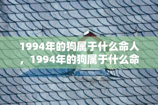 1994年的狗属于什么命人，1994年的狗属于什么命
