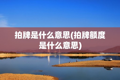 拍牌是什么意思(拍牌额度是什么意思)
