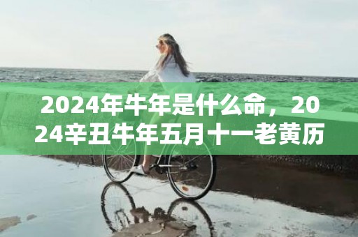 2024年牛年是什么命，2024辛丑牛年五月十一老黄历日子好吗