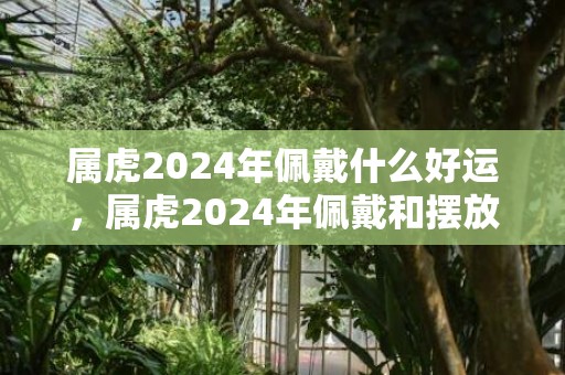 属虎2024年佩戴什么好运，属虎2024年佩戴和摆放什么饰品好