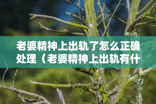 老婆精神上出轨了怎么正确处理（老婆精神上出轨有什么表现）