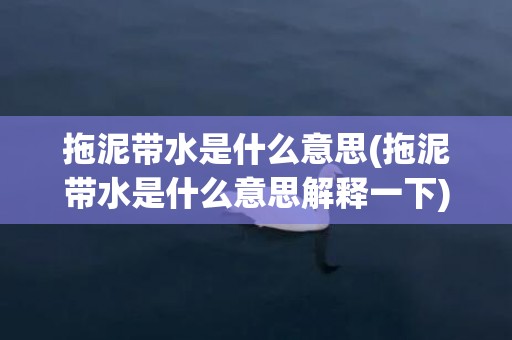 拖泥带水是什么意思(拖泥带水是什么意思解释一下)