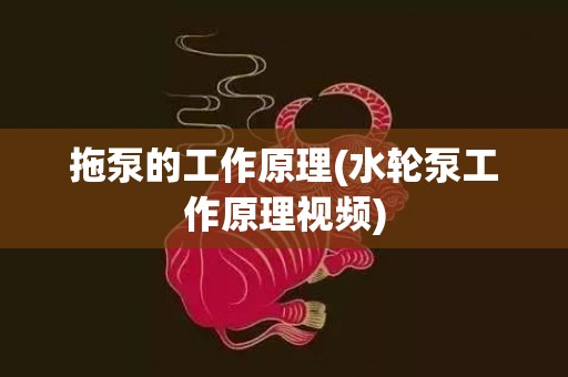 拖泵的工作原理(水轮泵工作原理视频)
