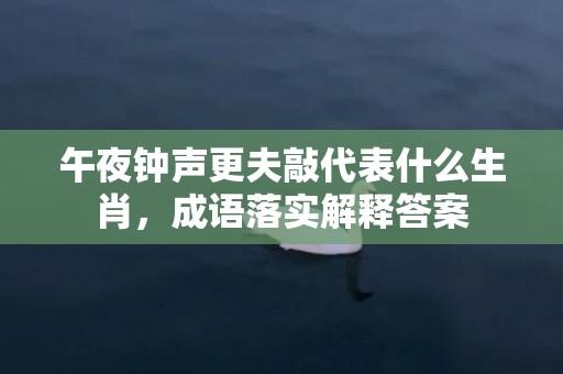 午夜钟声更夫敲代表什么生肖，成语落实解释答案