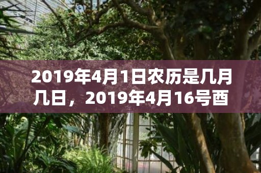 2019年4月1日农历是几月几日，2019年4月16号酉时出生的女孩起什么名字最佳