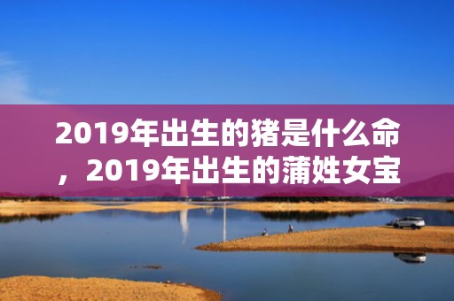 2019年出生的猪是什么命，2019年出生的蒲姓女宝宝怎么起名字，姓蒲女孩寓意好的名字