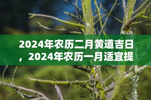 2024年农历二月黄道吉日，2024年农历一月适宜提车的吉日查询