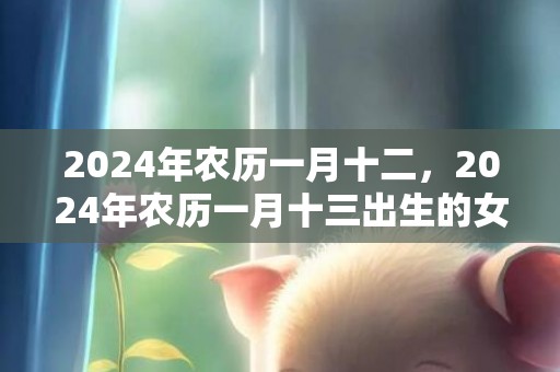 2024年农历一月十二，2024年农历一月十三出生的女孩取名大全
