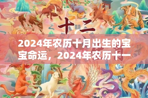 2024年农历十月出生的宝宝命运，2024年农历十一月十四适合结婚吗