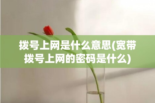 拨号上网是什么意思(宽带拨号上网的密码是什么)